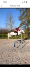 Poney D 