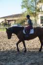 Kira - Jument Jument ONCS &ndash; 11 an