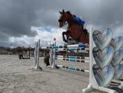 Hongre de 11ans, classement jusqu&rsquo;en 135