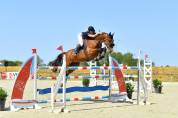 Hongre de 11ans, classement jusqu&rsquo;en 135