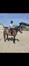 Poney D femelle 4 ans 