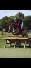 Vente ponette connemara CCE 13 ans