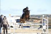 Poney D &agrave; vendre 
