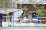 Poney D &agrave; vendre 