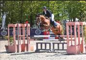 Poney D &agrave; vendre 
