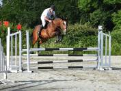 Epona coco - Jument 