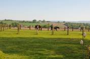 Luxurious equestrian property  Calvados