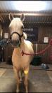 Adorable Pfs 4 ans 