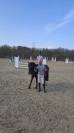 Ponette top potentiel 