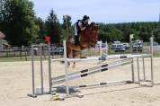 Poney de sport CSO