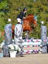 Jument selle francais 5ans par Romanov * Calvaro Z