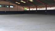 Hippisch vastgoed Koop tarn