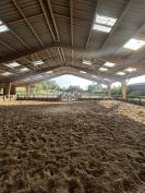 Pensions chevaux Paris 