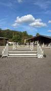 Pensions chevaux Paris 
