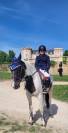 Demi pension sur gentil poney D polyvalent