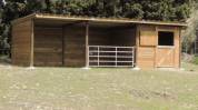 Pension cheval / poney ☺️