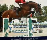 M&acirc;le Baloubet du rouet x Contender 