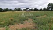 Azienda ovina In vendita Deux-S&egrave;vres