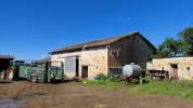 Sheep farm  Deux-S&egrave;vres