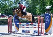 Jument polyvalente CSO