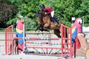Jument polyvalente CSO