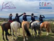 Formation CS &Eacute;ducation et Travail du jeune &eacute;quid&eacute;