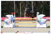 GRAND PRIX AS ELITE COYOTTE GIRL DU GARON