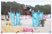 GRAND PRIX AS ELITE COYOTTE GIRL DU GARON