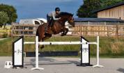 Superbe Hongre de 8 ans - obstacle 140cm 
