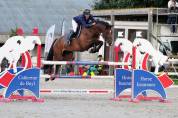 Superbe Hongre de 8 ans - obstacle 140cm 