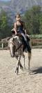 Castrone Appaloosa Leopard
