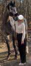 Superbe hongre KWPN 6 ans 
