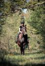 Cheval de loisirs 