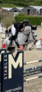 Jument - SF - 12 ans