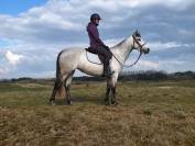 Ponette d'endurance 
