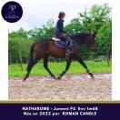 Belle 4 ans env 1m68