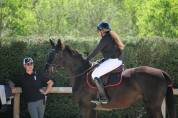 Jument SF ideale amateur