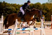 Juments SF pour Elevage 