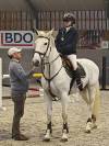 Top show jumping mare + super breeding Hol 18A2