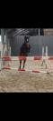 Chevaux a vendre