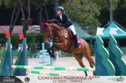 Mezza affida cavallo da salto ostacoli 
