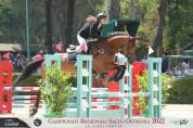 Mezza affida cavallo da salto ostacoli 