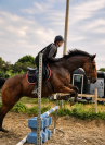 Hongre de 7 ans 1m70