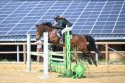 Poney de Sport  8 ans Connemara Part Bred 