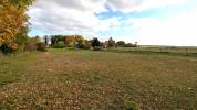 PROPRIETE EQUESTRE AVENDRE, avec grande maison + Grange