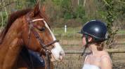 Vends paint horse pp