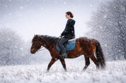 Nano - Saillie super cheval 