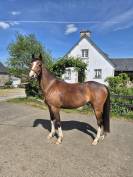 Ponette PFS 3 ans
