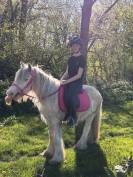Poney 4 ans 130 cm type irish 