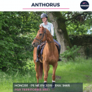 ANTHORUS - PS - 7 ANS 
